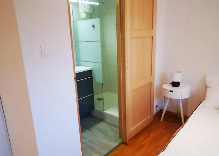 Joli Meuble Calme Et Proche Commodites * Mulhouse