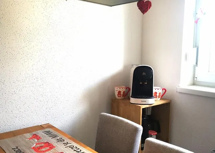 Joli Meuble Calme Et Proche Commodites Appartement Mulhouse